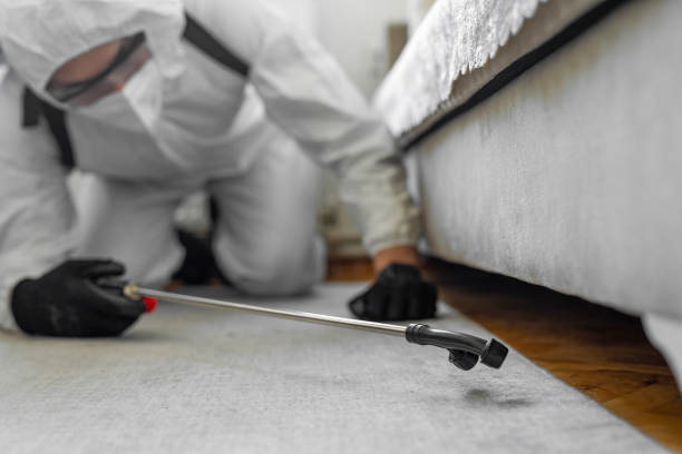 Professional Bed Bug Control technician working in Hohenwald, TN